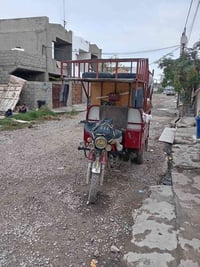 جانباور • ٢٠٢٢ • ورقه ونص