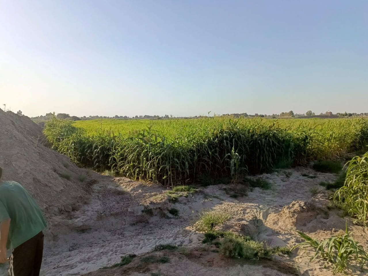 📣 أرض زراعية مميزة للبيع  📣الموقع: محافظة الديوانية - قضاء سومر.طريق السعيد قرب مدرسة الشموس 5 دقائق عن الولايه نوع السند القانوني: عقد 35 زراعي (رسمي وجاهز للتنازل)(15 دونم).الخدمات المتوفرة:🔹 واجهة على شارع تبليط (أسفلت) لسهولة الوصول.🔹 متوفر شبكة ماء إسالة.🔹  كهرباء.نهر مباشر من نهر الاسدل🔹 كافة الخدمات الأساسية متوفرة في المنطقة (موقع حيوي ومخدوم).📌 الأرض مثالية للاستثمار الزراعي، الحيواني، أو كأرض للمستقبل نظراً لتكامل خدماتها.
رقم الهاتف ***********
📣 أرض زراعية مميزة للبيع  📣الموقع: محافظة الديوانية - قضاء سومر.طريق السعيد قرب مدرسة الشموس 5 دقائق عن الولايه نوع السند القانوني: عقد 35 زراعي (رسمي وجاهز للتنازل)(15 دونم).الخدمات المتوفرة:🔹 واجهة على شارع تبليط (أسفلت) لسهولة الوصول.🔹 متوفر شبكة ماء إسالة.🔹  كهرباء.نهر مباشر من نهر الاسدل🔹 كافة الخدمات الأساسية متوفرة في المنطقة (موقع حيوي ومخدوم).📌 الأرض مثالية للاستثمار الزراعي، الحيواني، أو كأرض للمستقبل نظراً لتكامل خدماتها.
