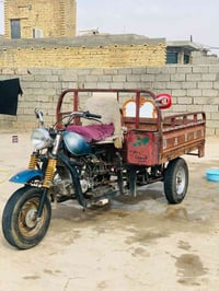 ستوته • اسود • ٢٠١٠