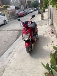 سكنس • كفاله مكينه • ما ملعوب