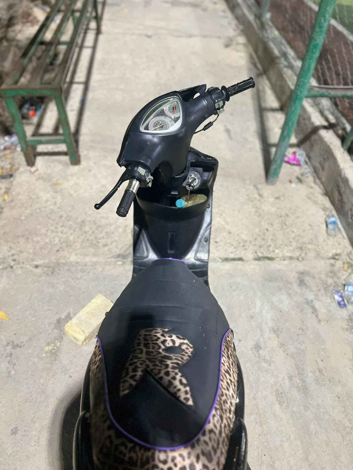 ماكس عدله • ٥٥ • افام
