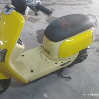 بوليس • مصبوغه • سلف وهندر