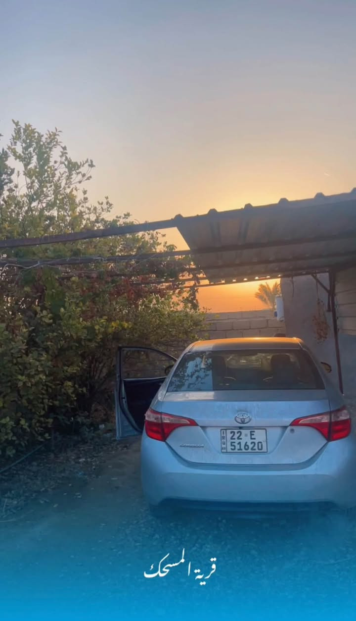 كورلا • ٢٠١٧ • رقم اربيل