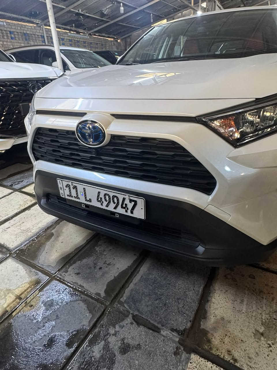 راف فور هايبرد • ٢٠٢٣ • رقم بغداد