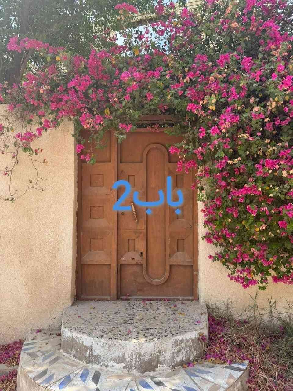 الكوفة فلكة الدلال • ٢٤٠م² • طابو صرف