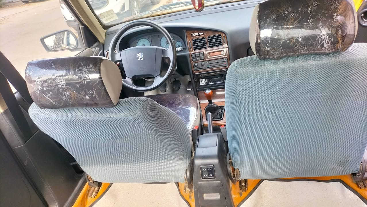 بيجو بارس • ٢٠١٥ • بغداد البلديات