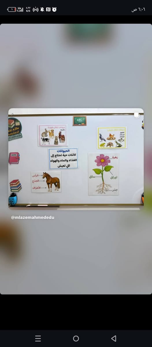 #تصميم وسائل تعليميه كبس حراري ممغنطة

نص مكتوب في الصور:
- بسم الله الرحمن الرحيم
- الأحد
- الاثنين
- الثلاثاء
- الاربعاء
- الخميس
- @mlazemahmededu
- ملازم أحمد التعليمية *********** ***********