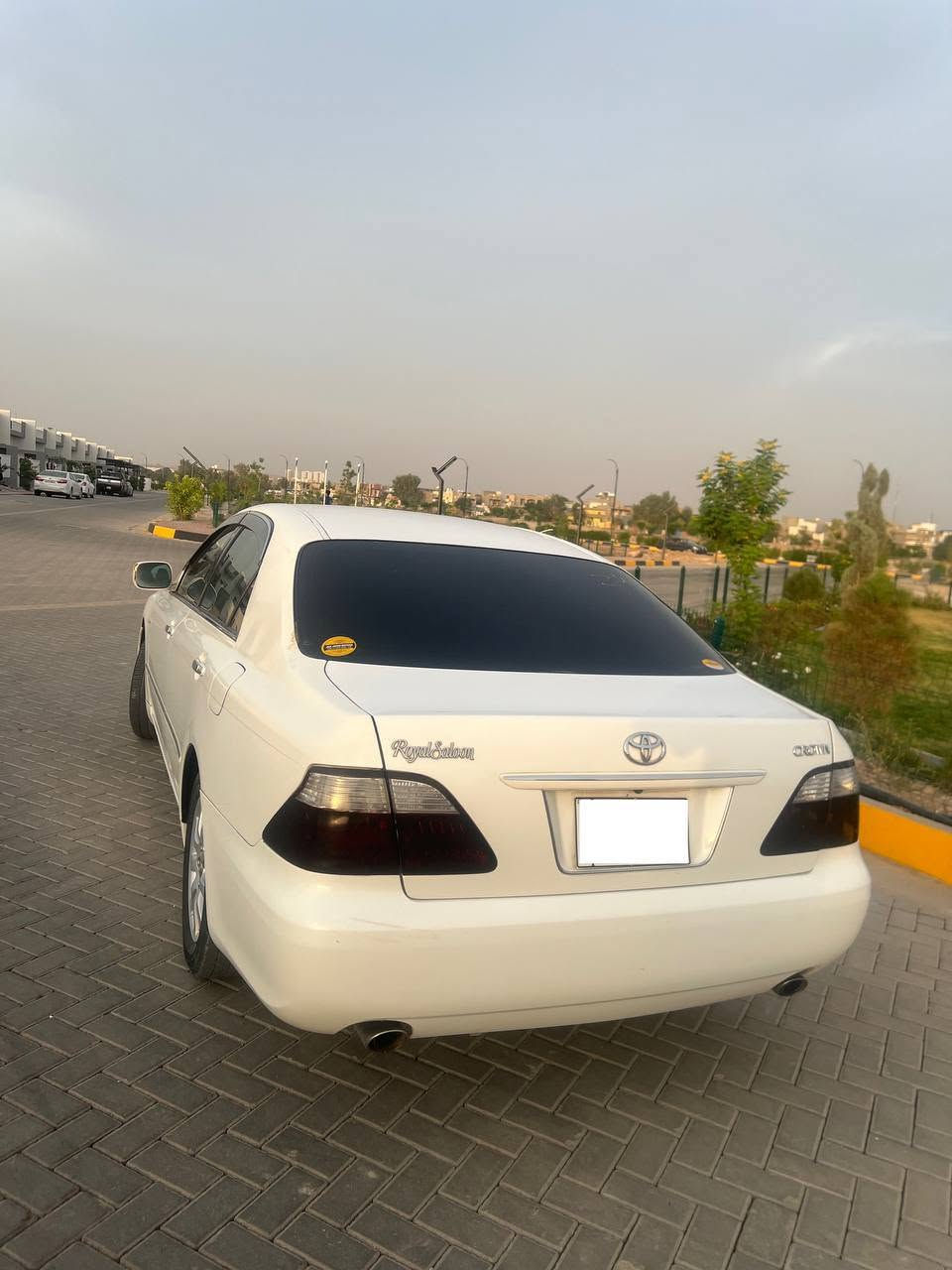 شاهینە موس • ٢٠٠٦ • کەلار
