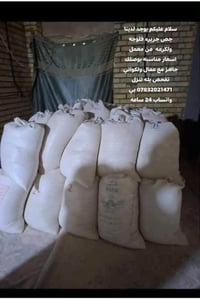 جص جزيره فلوجه • ولكرمه • مع عمال