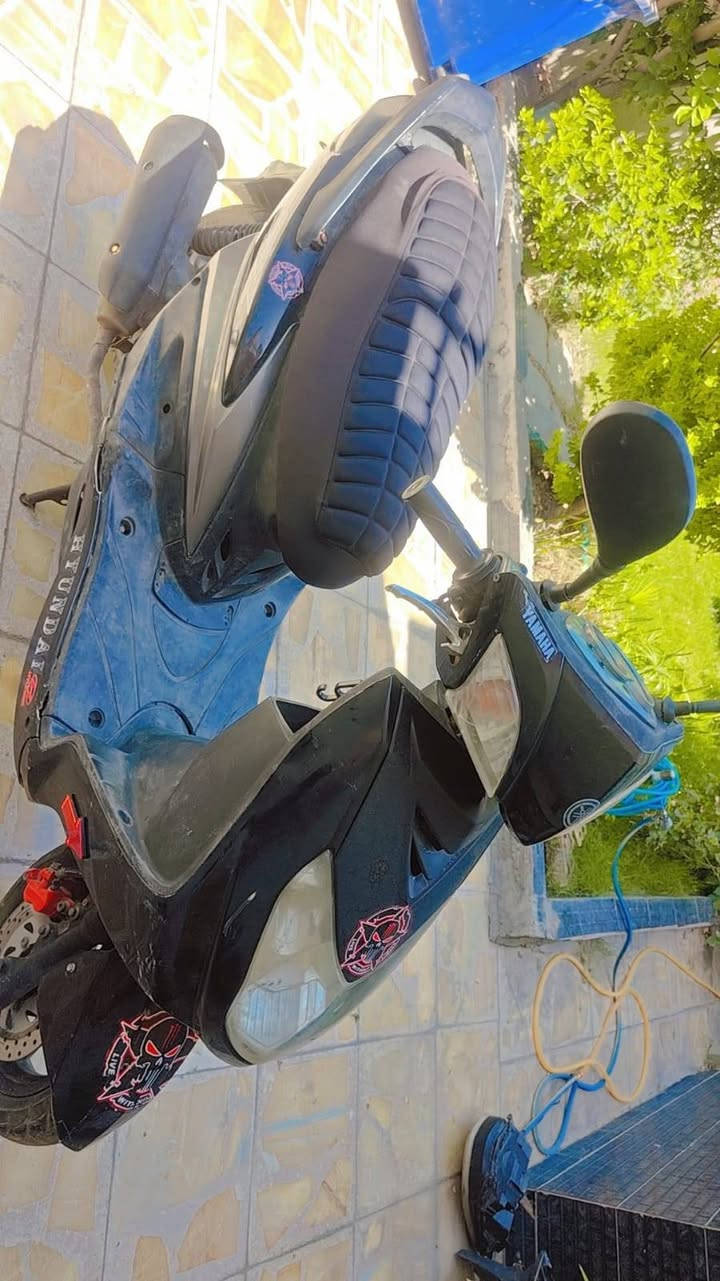 سكنس فحل نكره سلف وشلعهه مراوس بكير وذا بيع 550وبيهه مجال قليل ***********
