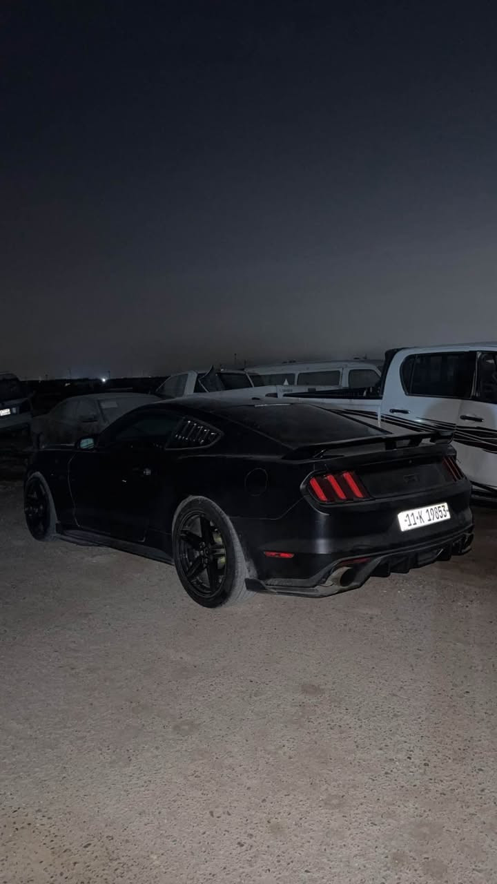 موستنك GT • ٢٠١٧ • حادث منشور