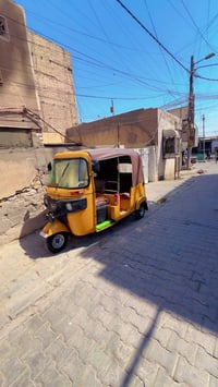 تكتك • ٢٠ كفالة • نمر إنكليزي