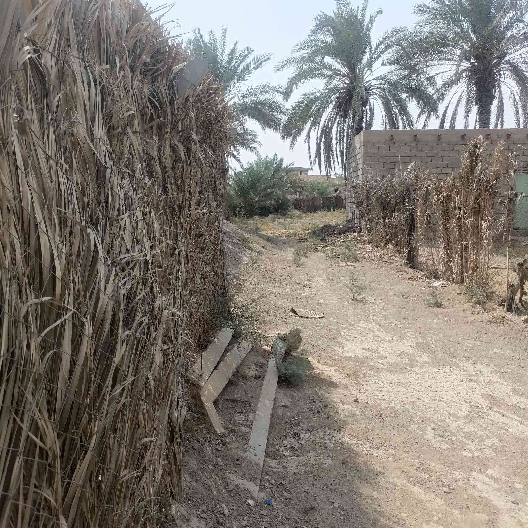 العماديه • طابو زراعي • ٥٩٠٠م