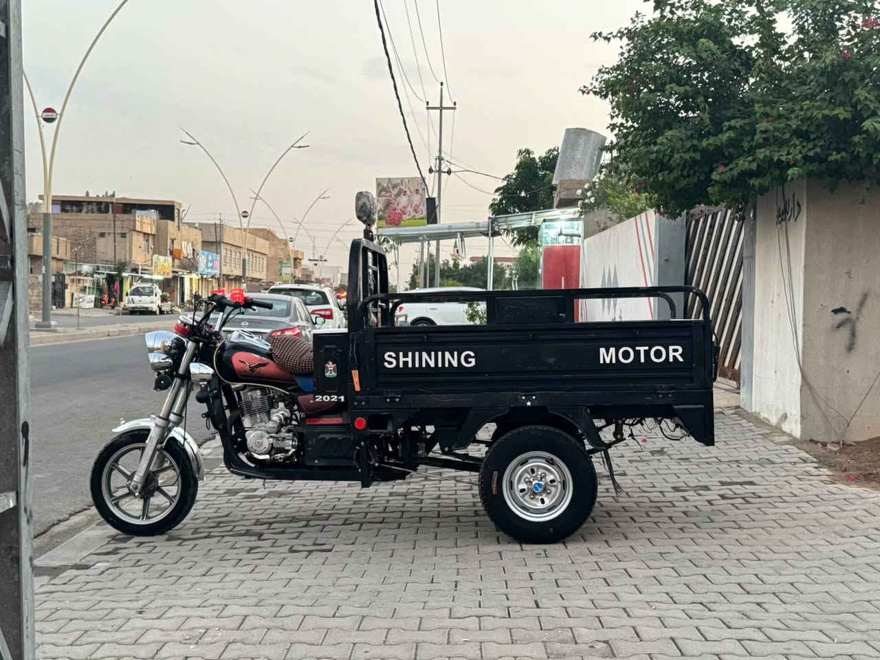 ستوته • ٢٠٢١ • فحل