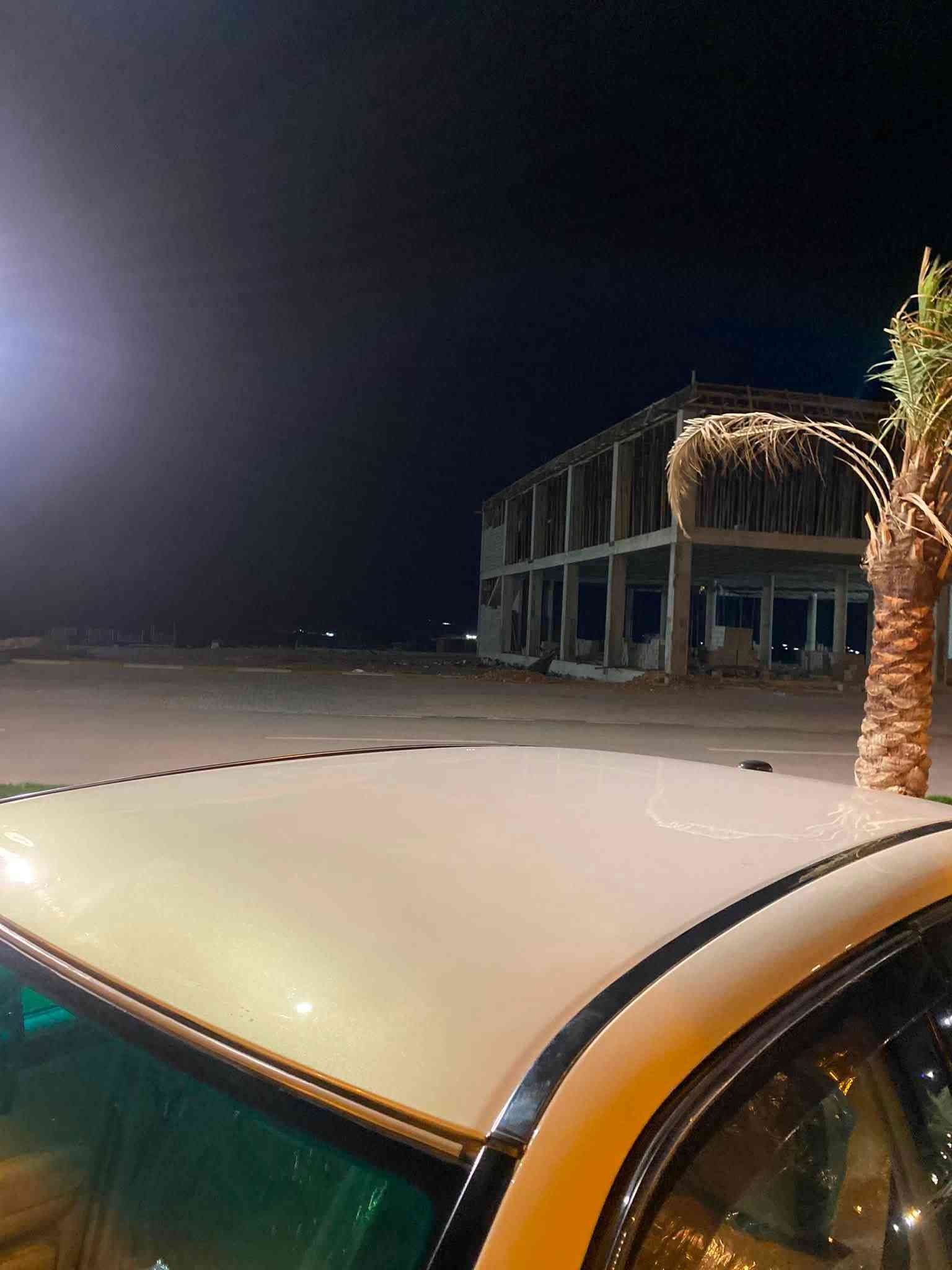 ٢٠٠٣ • أخضر • زينون