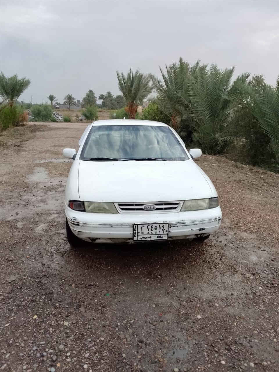 سيفيا • ١٩٩٤ • محرك مسكر