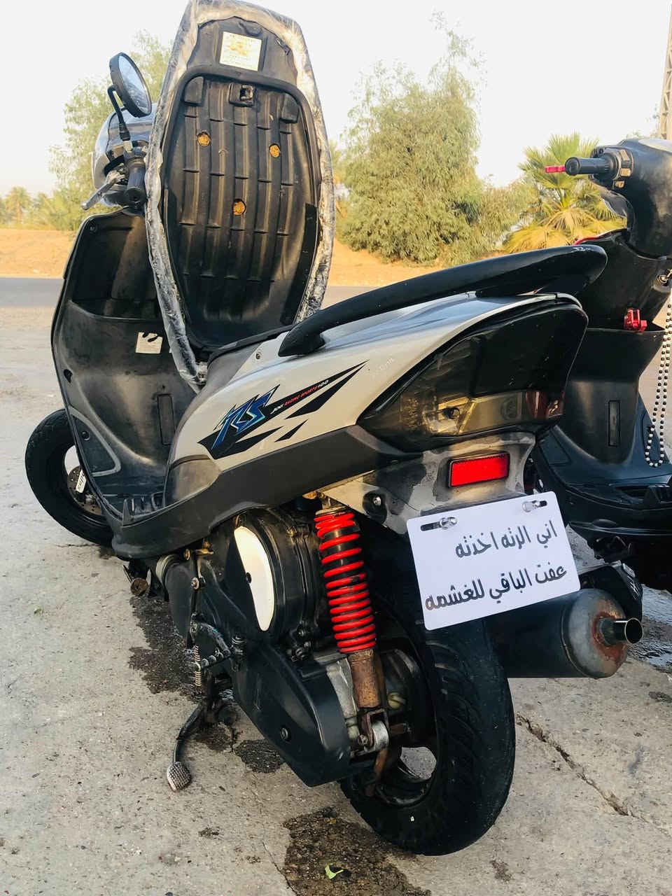 ماكس عدله • كامله • معدل