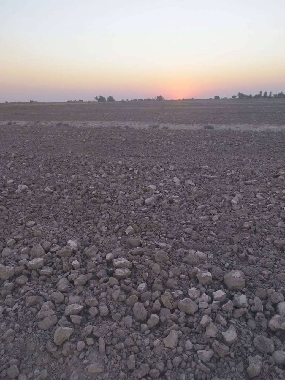 صوب بني ركاب • ٣٣ دونم • زراعية