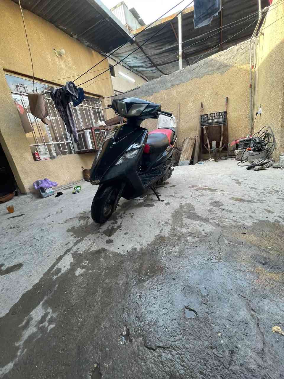 ثعلب • GTR • أصليه
