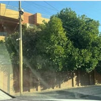حي البلديات • ٣٠٠م • بعد ٤ دار
