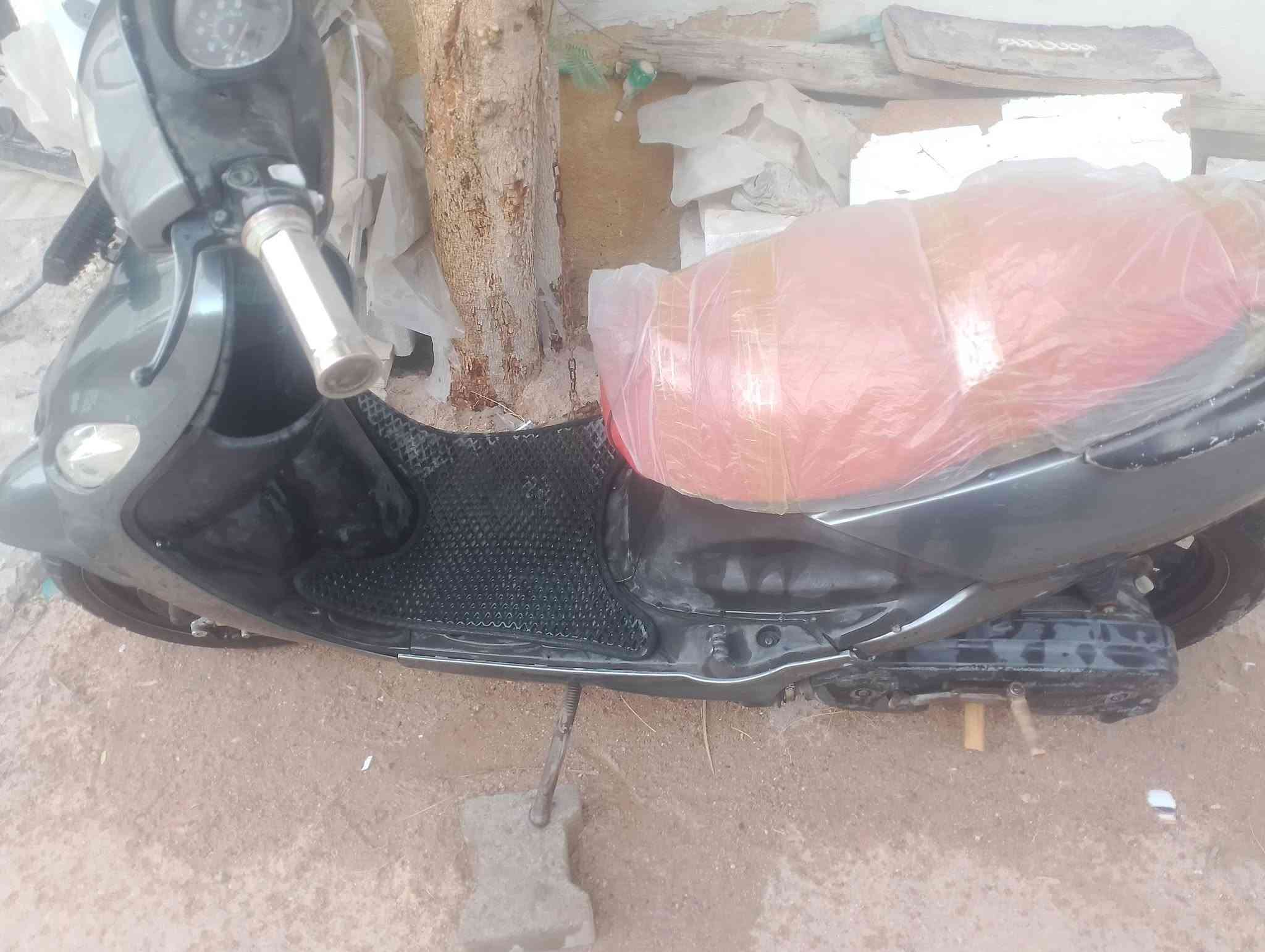 دولفين • مكينة ناعمه • اكزز مفتوحه