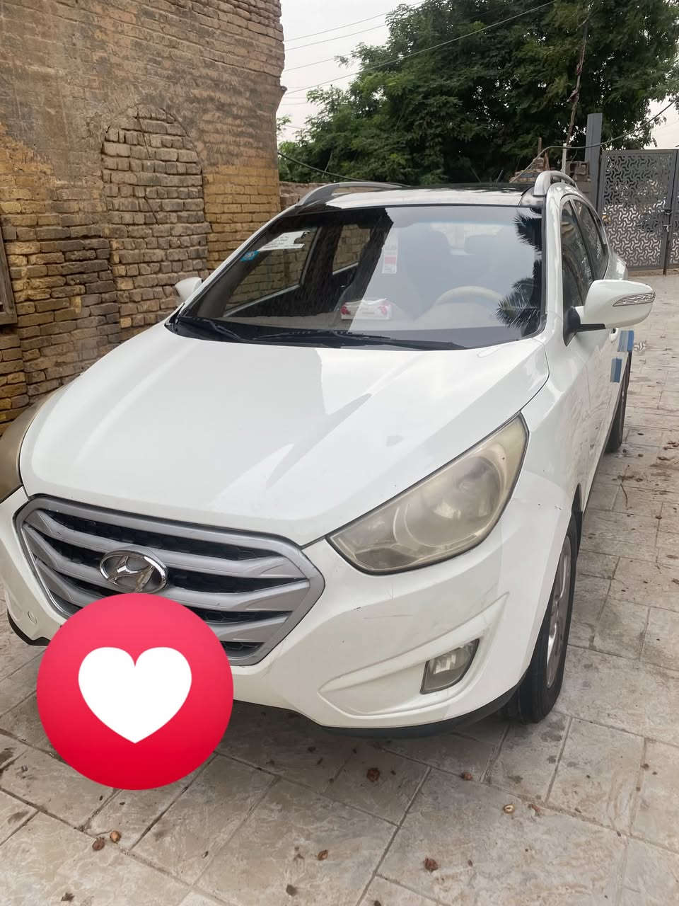 خليجي • ٢٠٠٠ • ماكو صبغ