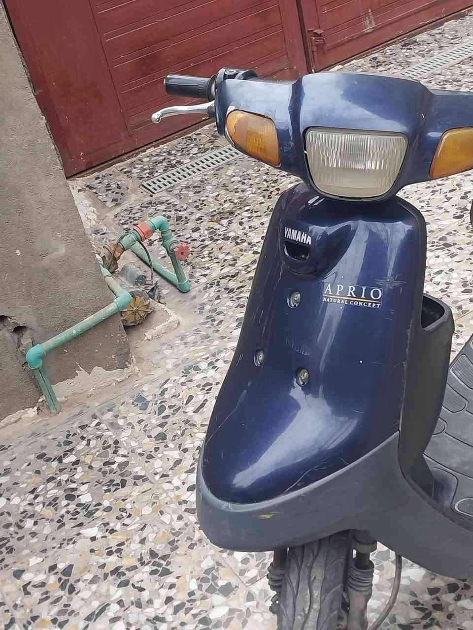 بطة