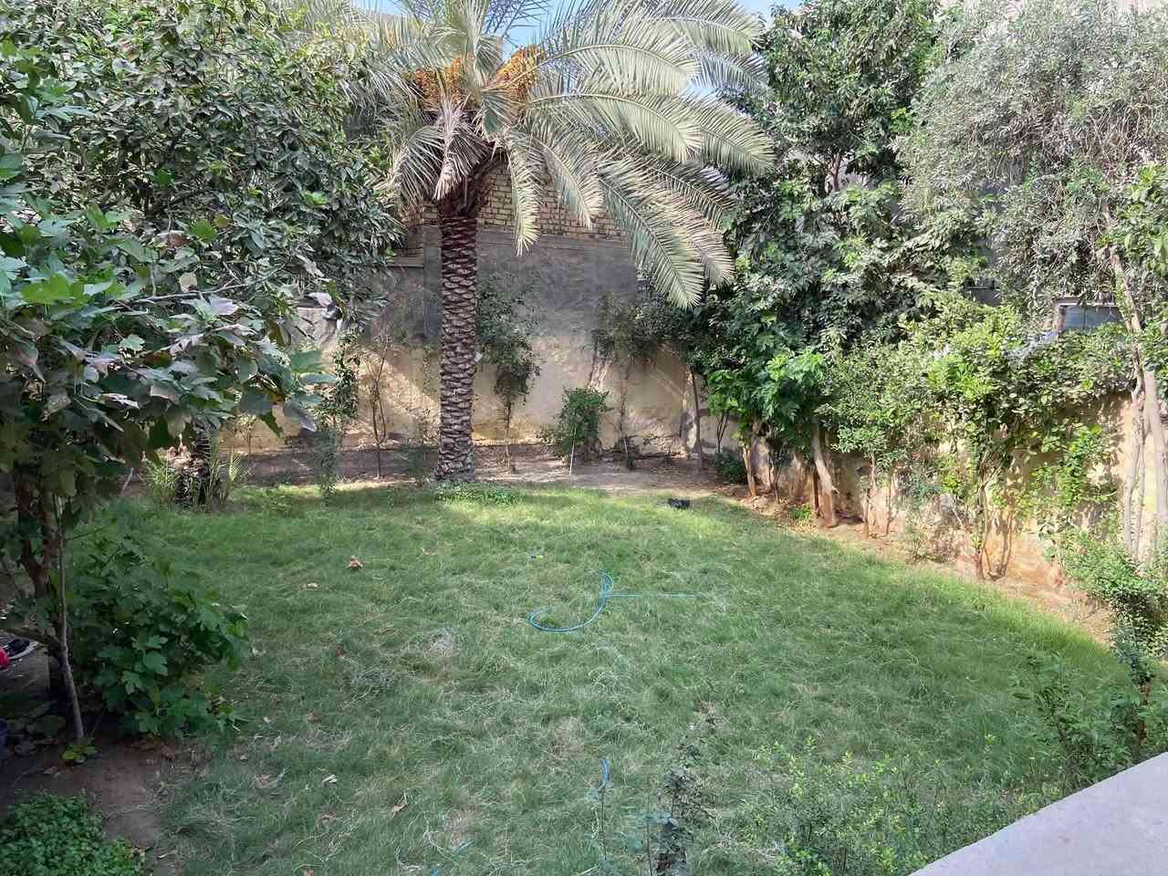 الحلة بابل • ٤٠٠م • سند زراعي