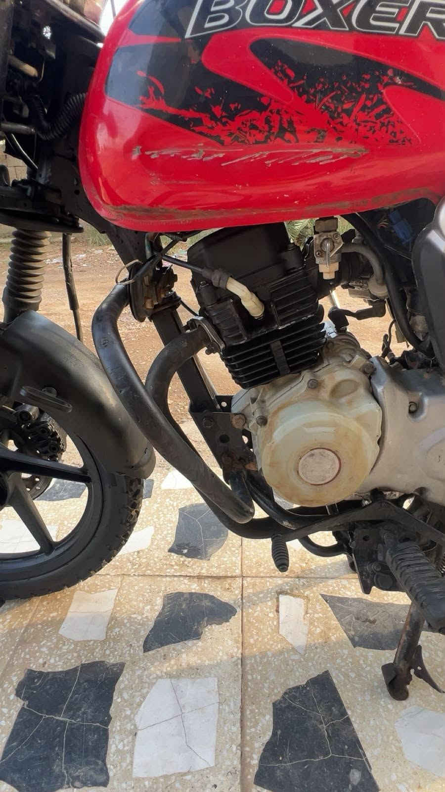 بوكسر جبلي • ٢٠٢٣ • اوراق ضايعه
