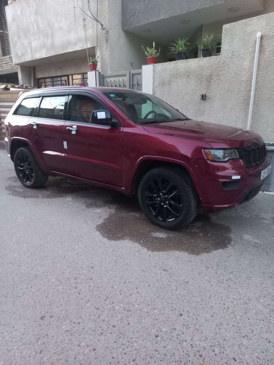 شيروكي لاريدو • ٢٠١٩ • بغداد البلديات