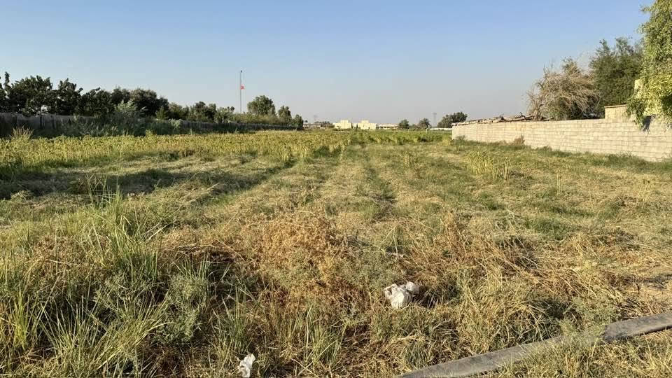 السلام عليكم دونمين للبيع بل يوسفيه قريه البعامر صايرات على شارعين كل الخدمات متوفره للاستفسار اتصل 
***********
