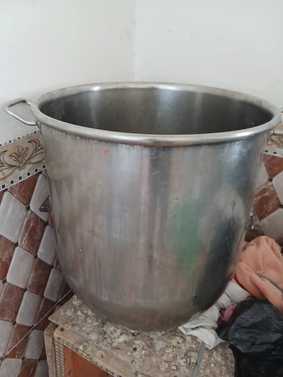 بيع سريع معمل كامل مال كيك وتشوفونه بل صور و اكثر و نواعم خير من الله ما مصورهم ليريد يتفضل يتصل ***********
