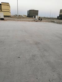 الطوبه والنخيل • ٢٥٠م • الوجه ١٢ ونص