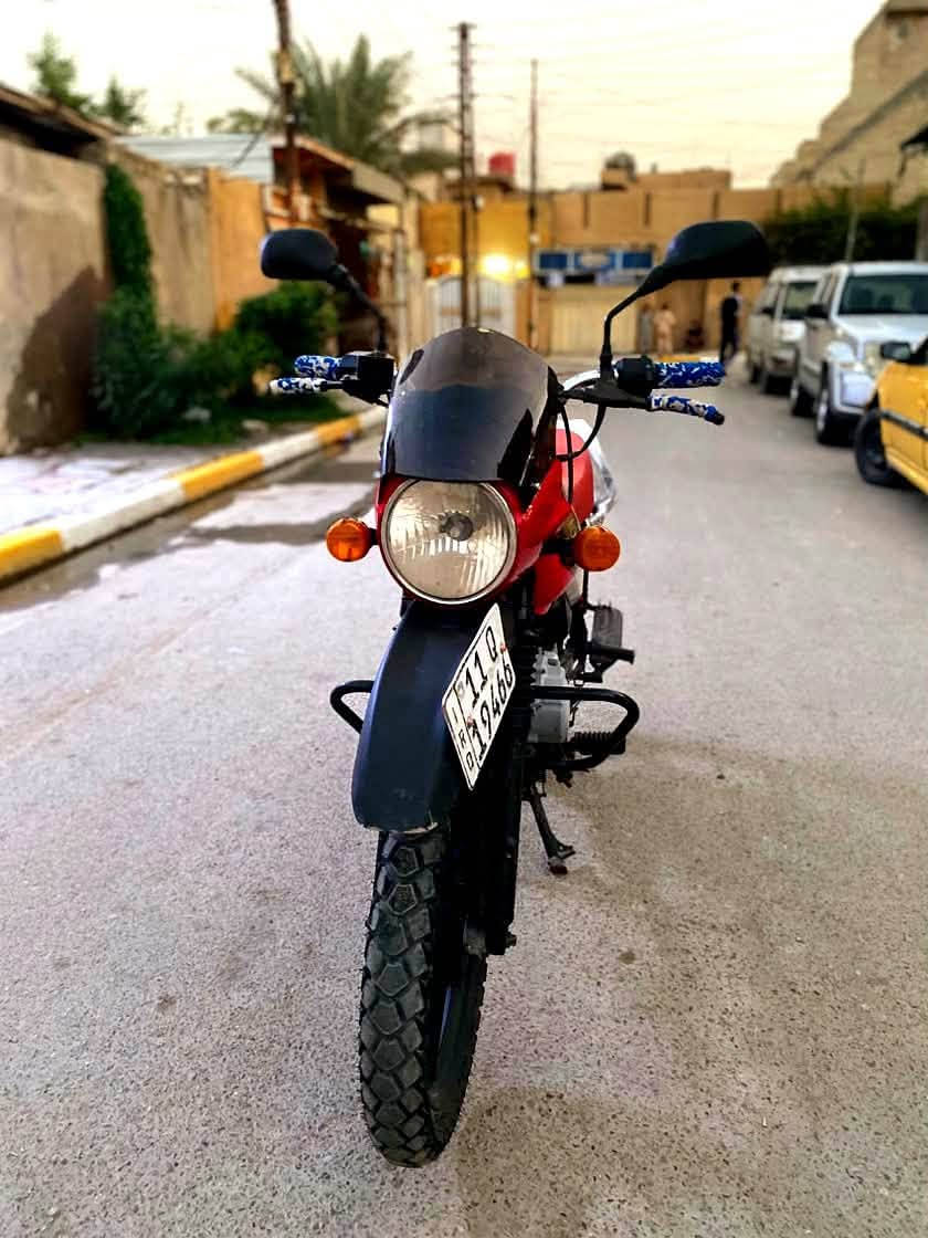 بوكسر • ٢٠٢١ • لوحات نكليزي