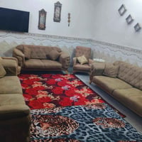 تخم تسكام  قوي  واتساب 07830873323
