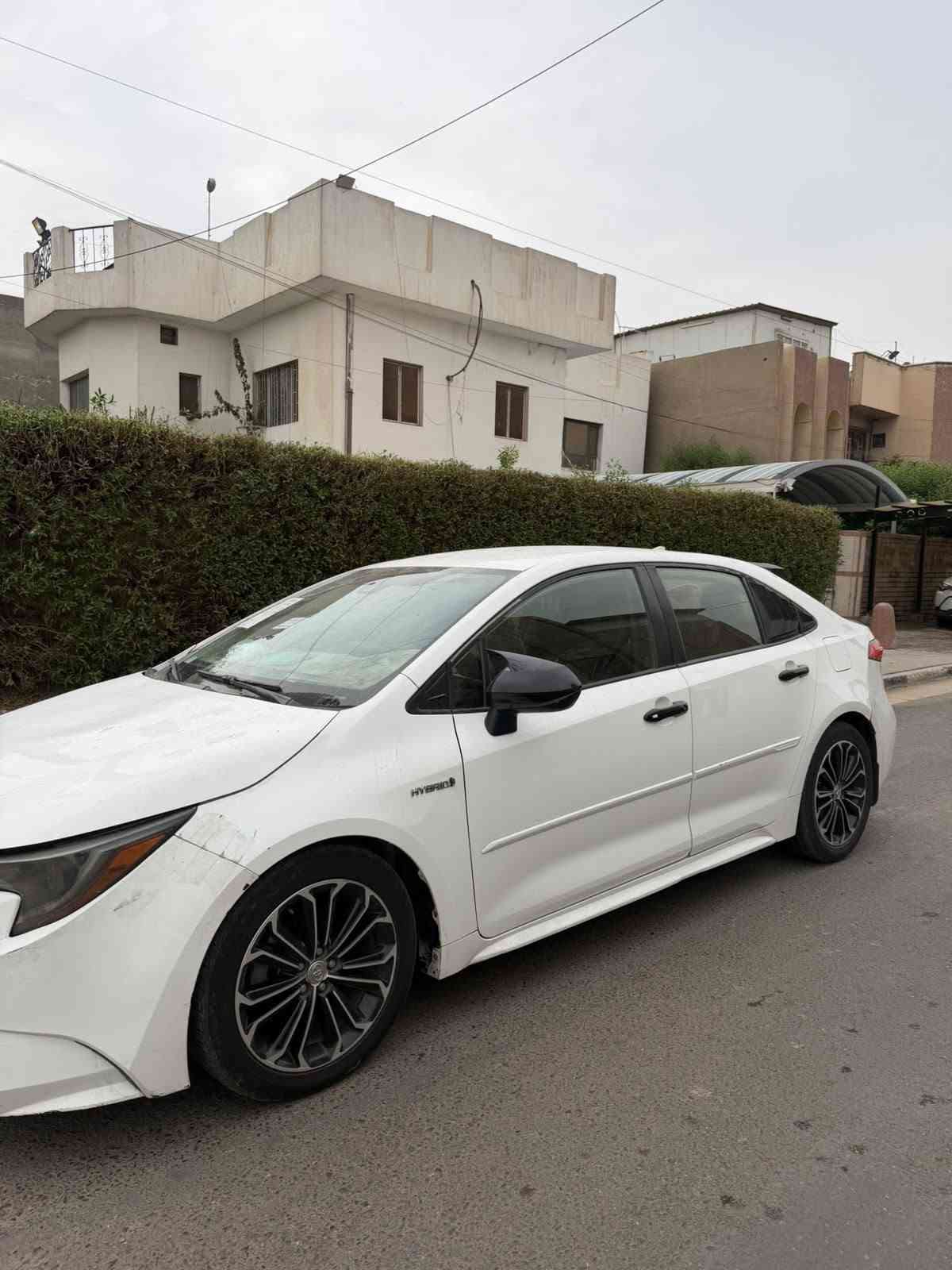 كورلا هايبرد • ٢٠٢٠ • الفلوجه