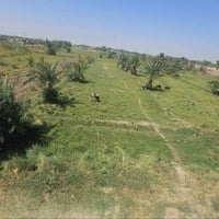 قضاء الشطره • ٥ غرف • ١٦ دونم