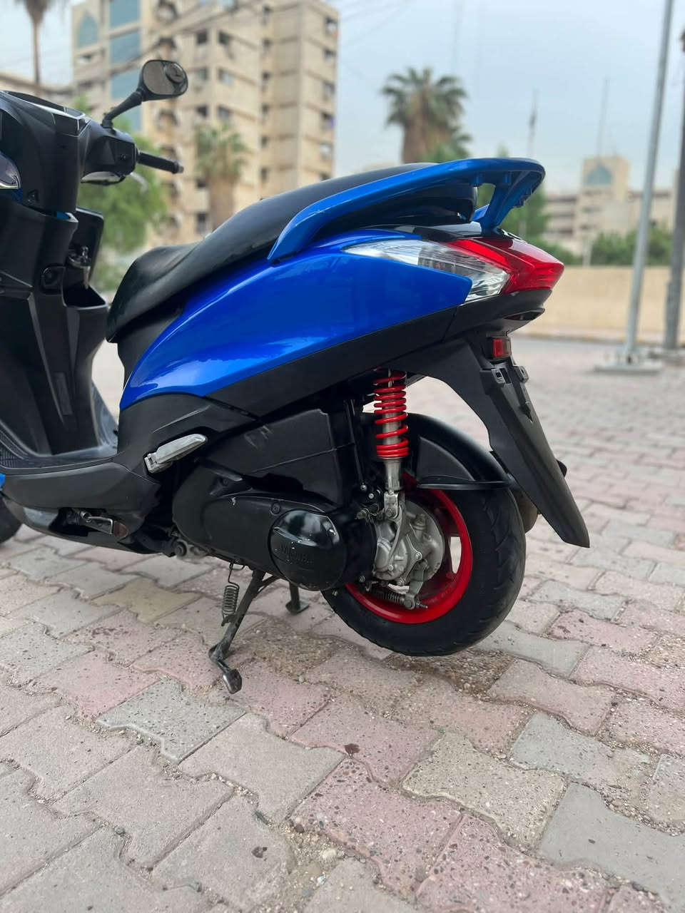 اكزز • اوراق • نظام ايكو