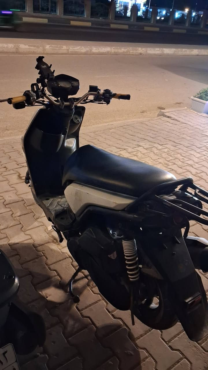 سكنس جبلي • جديدة • مجال قليل