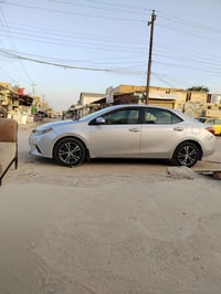 كورلا • ٢٠١٦ • رقم بابل