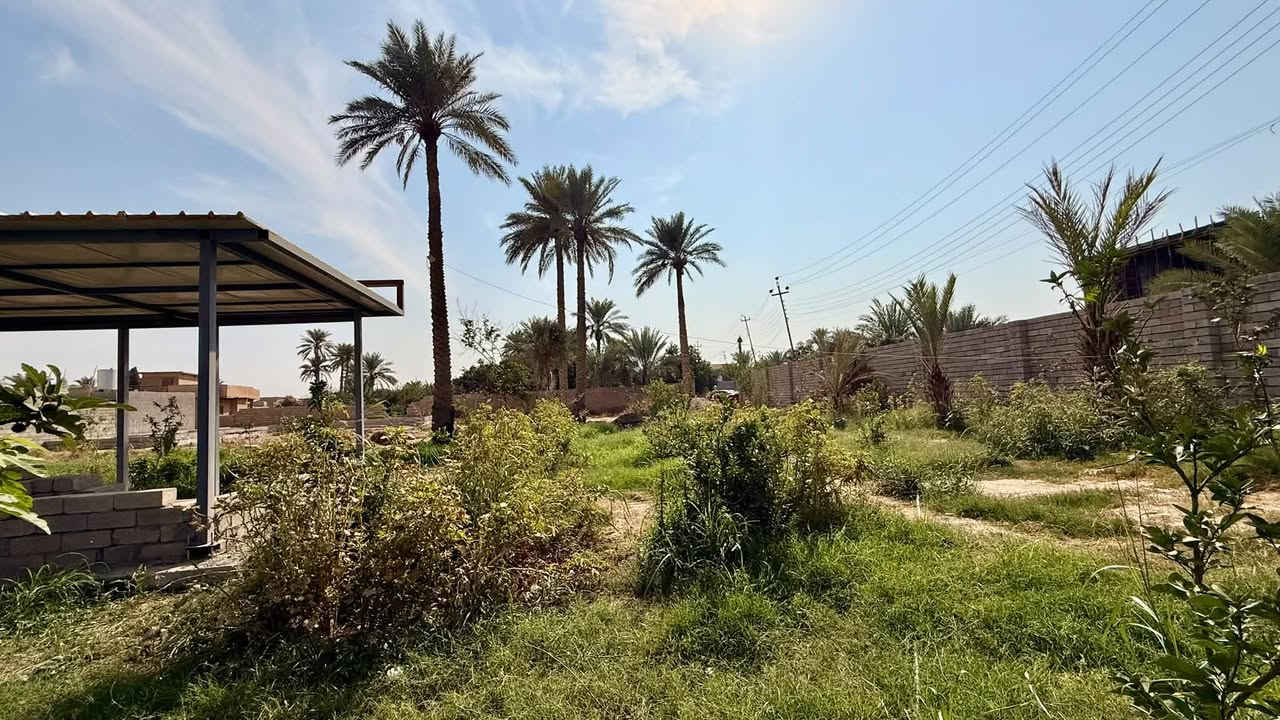 دونم • طابو زراعي • قضاء العلم