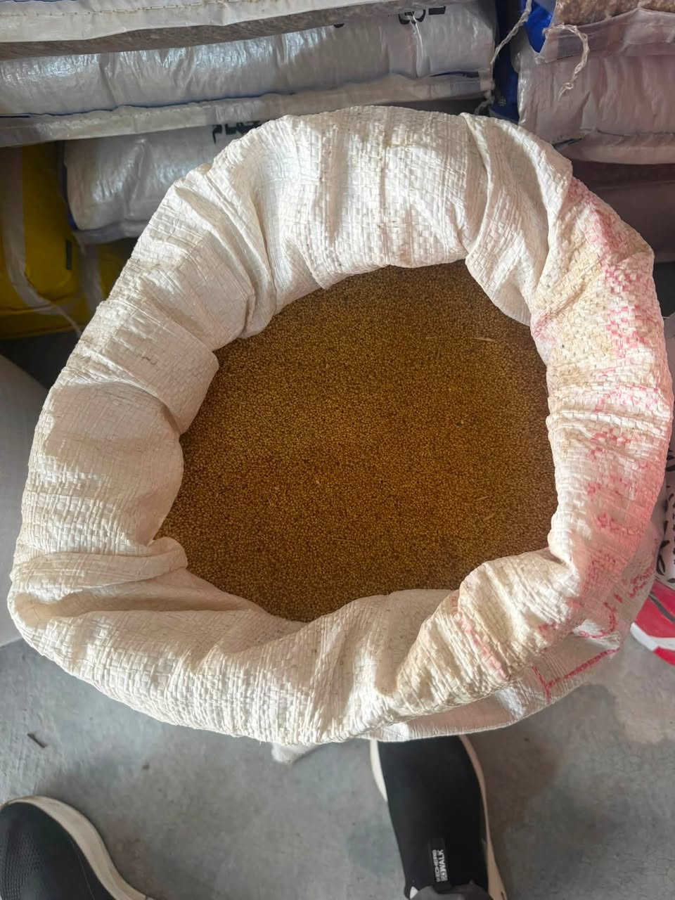 متوفر برسيم مصري تبزير عراقي
في علوة التميمي قرية اركبة
***********
***********
