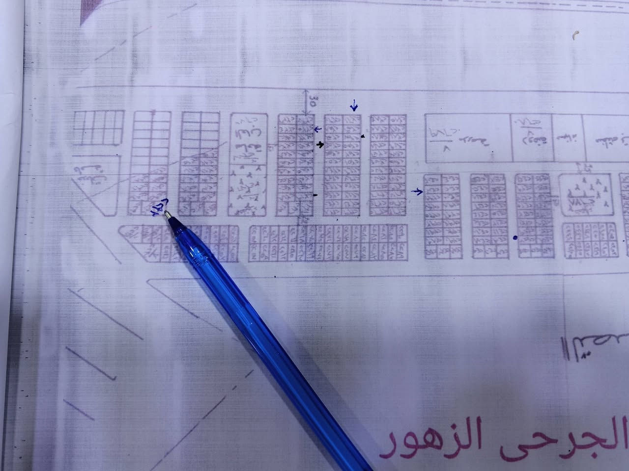 الزهور • السماوه حي الحكم • ٢٢٦م