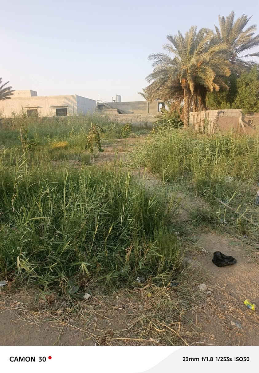السلام عليكم عندي نص دونم محتاج فلاح يرتبه للتواصل ***********
