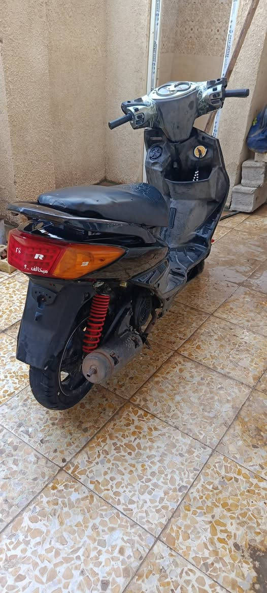 سكنس فحل لبيع او مراوس حسب لقناعه لسعر 400 مكاني زعفرانيه
