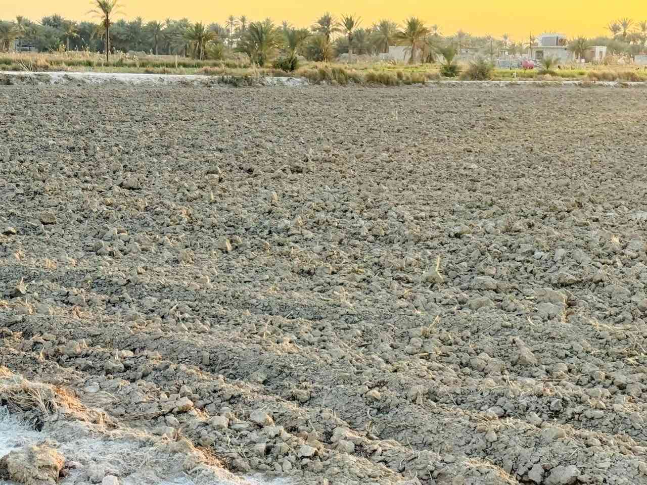 أرض زراعية مساحة( 4 دونم )  ، عقد زراعي ١١٧ ( عبد الكريم قاسم ) .
، تقع في منطقة ام نعجة ، طريقها  عمود ٢٥٦ طريق نجف - كربلاء. او مفرق الكفل قرب سيد يحيى 
يتوفر فيها كافة الخدمات ( ماء سقي - ماء اسالة _ كهرباء )

للاستفسار خـــــــــــاص او اتصال  ***********
