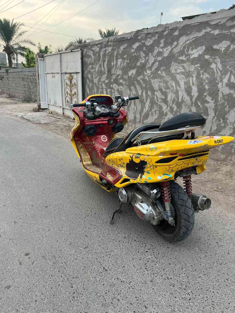 ماجستا • بدون اوراق • سلف ما يشتغل