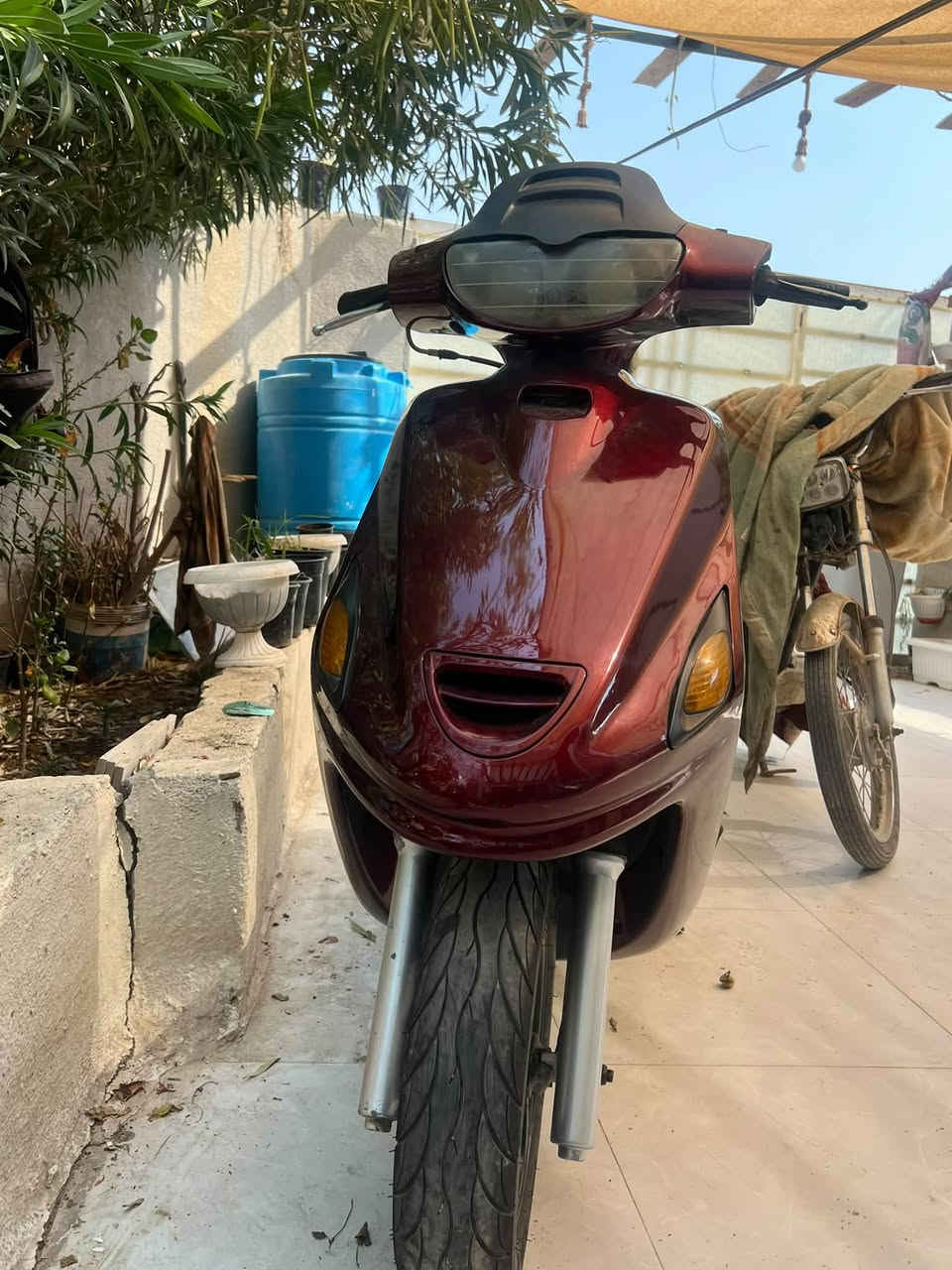 السلام عليكم فراشه فحل للبيع
كلها شغاله حيل نضيفه فقط مبدل ولفات سعر 450 بيهه مجال قليل مكاني قضاء صادق بناحيه ***********
