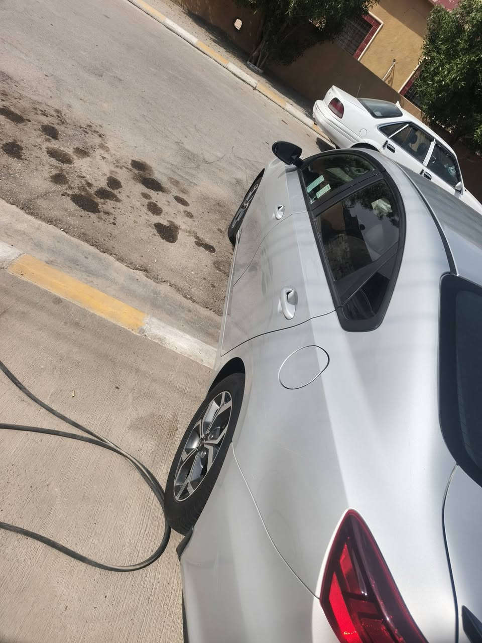 فورتي ٢٠١٩ • وارد أمريكي • طابه كلين