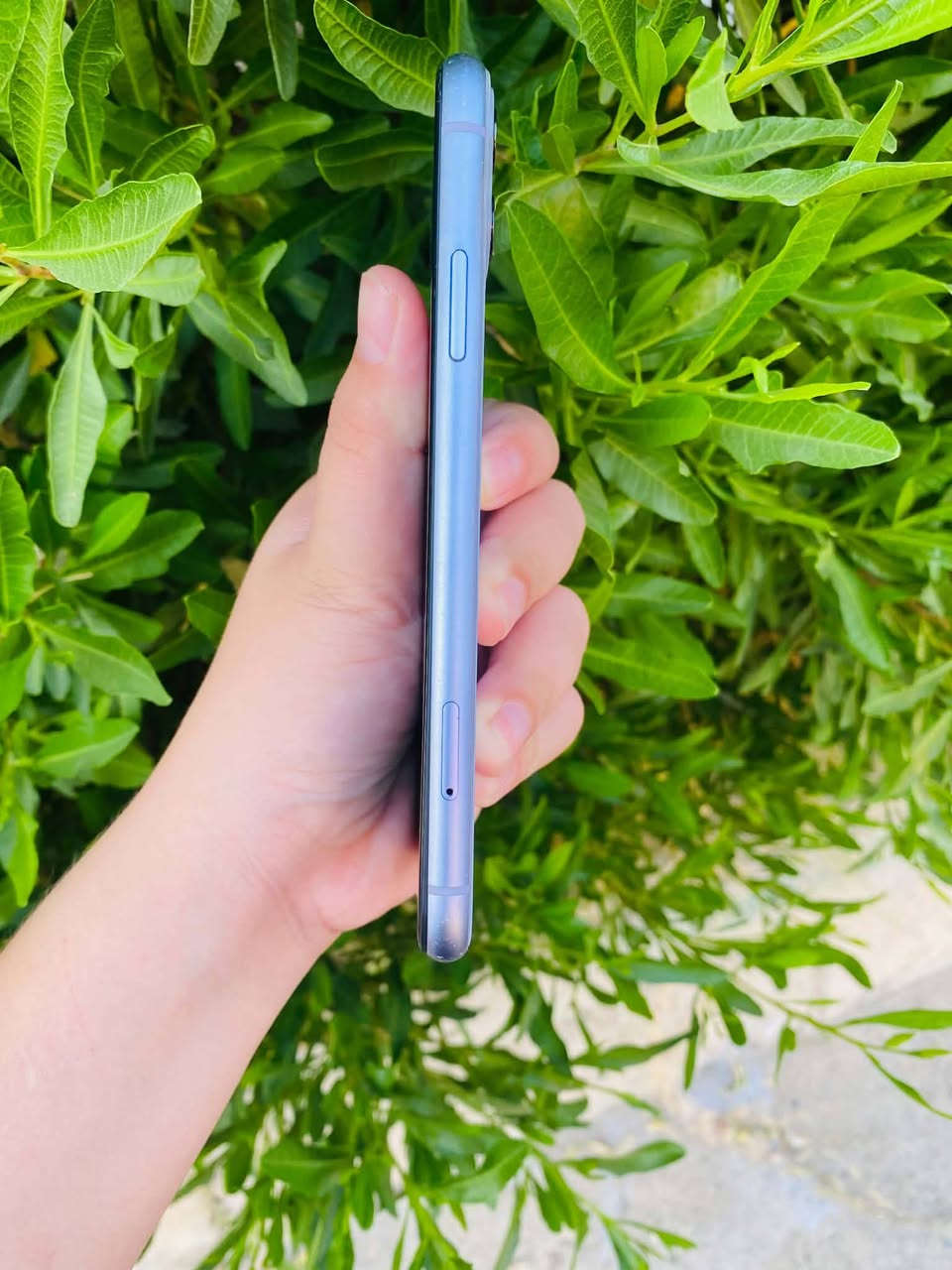 📱 آيفون 11 عادي (iPhone 11) للبيع 📱
​🟣 اللون: بنفسجي مميز 💜
🏠 النظافة: نظيف حيل (استخدام بيت) ✨
💾 الذاكرة: 64 جيجابايت ⚙️
📱 الشريحة: تك سيم (SIM واحدة) 📶
🖥️ الشاشة: مبدلة 3 خيارات (نوعية ممتازة) 💯
🔋 البطارية: مبدلة جديدة 100% بشرط القطارة ⚡
🔐 الفيس آيدي (Face ID): شغال ممتاز ✅
🔊 المواصفات العامة: كاميرات، صوت، هزاز كله شغال بشرط الفحص 📸🎶
🏷️ النموذج: Model M
​💰 السعر: 190 ألف دينار (وبيه مجال قليل للطيبين) 🤝
📍 الموقع: الموصل - الجانب الأيسر 📍
​📌 ملاحظة: أخي العزيز، إذا ما يعجبك المنشور اعبره وربي يرزق الجميع ❤

نص مكتوب في الصور:
- ٥:٥٣ القطع والخدمة تجمع Apple سجل تاريخ القطع والخدمة, وهذا السجل يعرض معلومات عن هذا الـ iPhone وحالته وتفاصيل إصلاحه, معرفة المزيد... سجل تاريخ الخدمة الشاشة غير معروف البطارية غير معروف